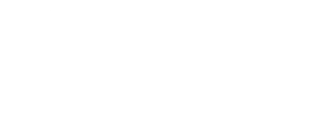 Light gray Sedaghat Law Group logo graphic.