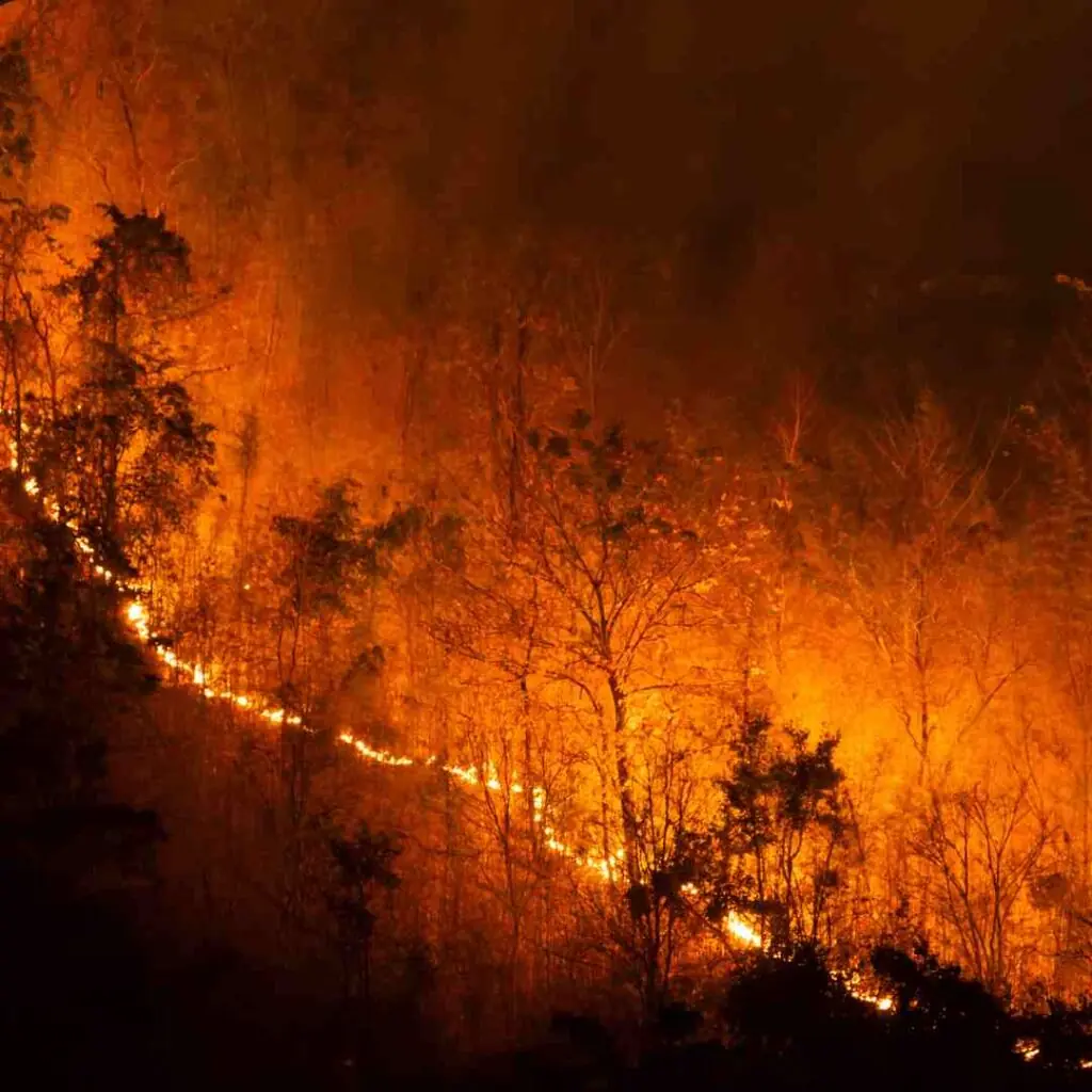 Wildfire burning through dry brush at night.