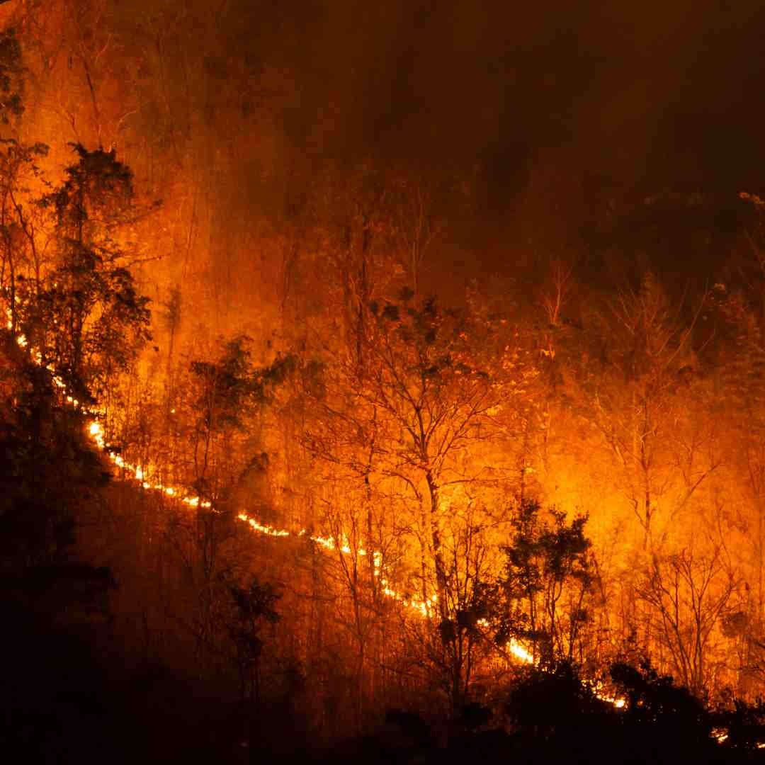 Understanding your legal rights after the 2025 Southern California wildfires